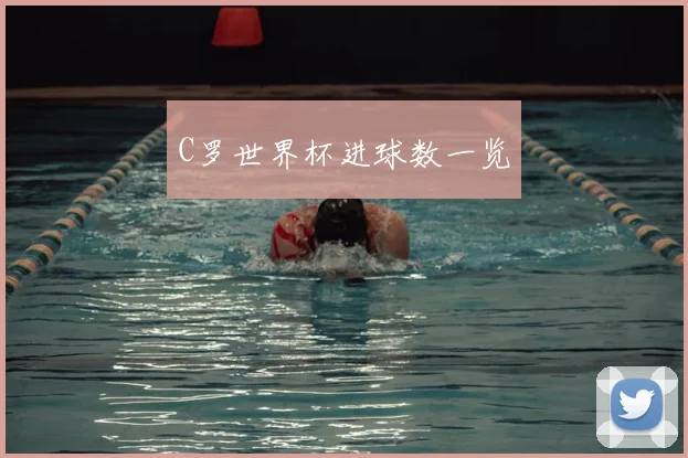 C罗世界杯进球数一览