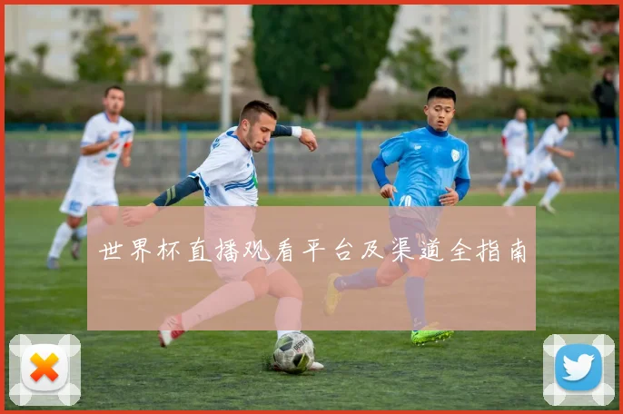 世界杯直播观看平台及渠道全指南