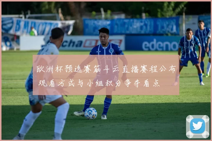 欧洲杯预选赛筋斗云直播赛程公布 观看方式与小组积分争夺看点