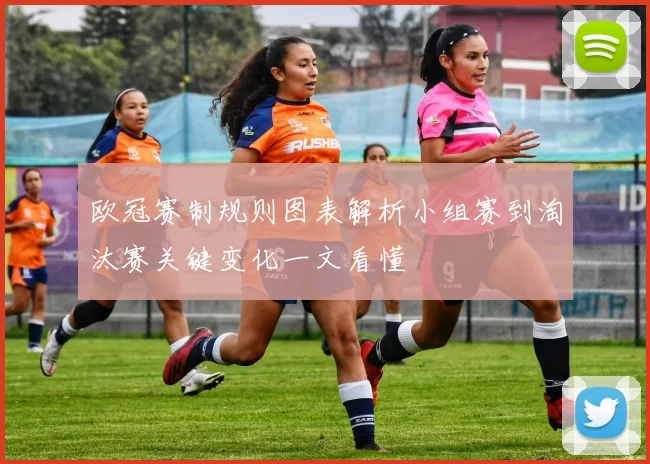 欧冠赛制规则图表解析小组赛到淘汰赛关键变化一文看懂